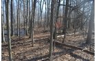 Property photo 34 - East Allen County - 55 Acre Land Auction